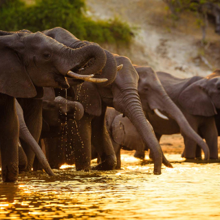 Luxury African Safaris | Tanzania Tours
