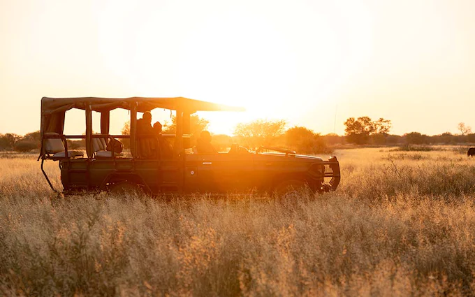 Wilderness Safari
