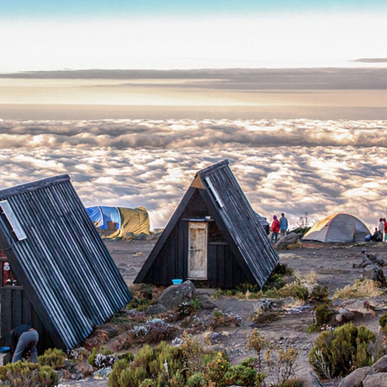 Marangu Route - Hut Accommodated Trail With 80% Success Rate