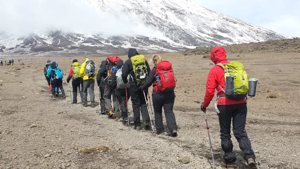 Rongai Route 6 Days | Trekking Itinerary and Prices