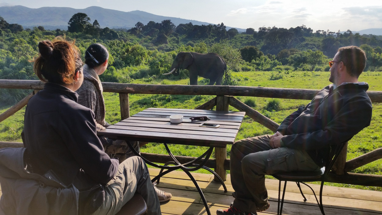 Ngorongoro Rhino Lodge