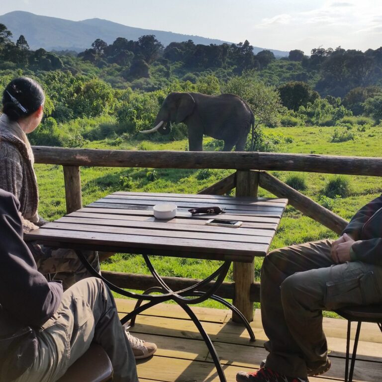 Ngorongoro Rhino Lodge