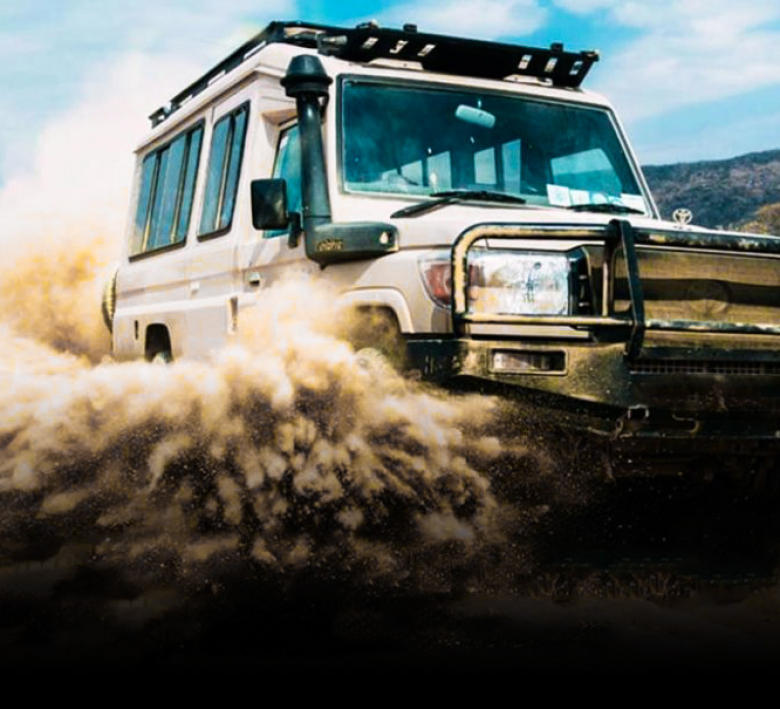 Tanzania Safari Fleet