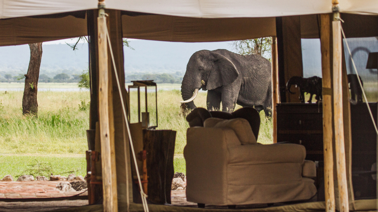 63495747c486e2198cedb821_Little-Chem-Chem-Safari-Tanzania-Accommodation-Tented-Camp-Main-Area-Elephant