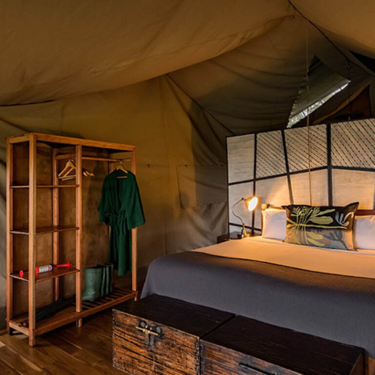 Dunia Camp
