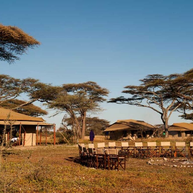 Ndutu Under Canvas