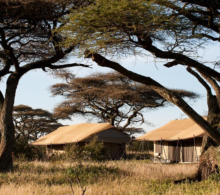 Mara Under Canvas